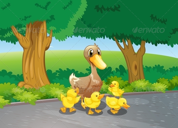 Mother Duck and her Ducklings on a Path