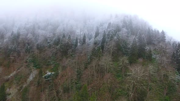 Hoarfrost Dew Formation in Cloud