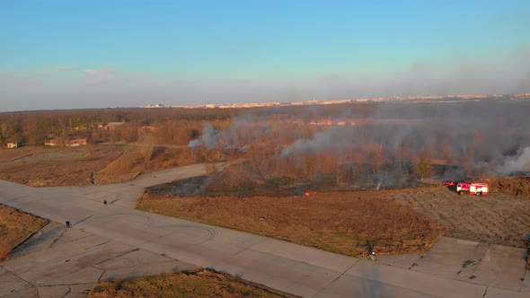 The Brigade of Firemen Extinguishes the Burning Yellow Dry Grass.  Aerial Shot