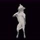 41 White Horse Dancing 4K - VideoHive Item for Sale