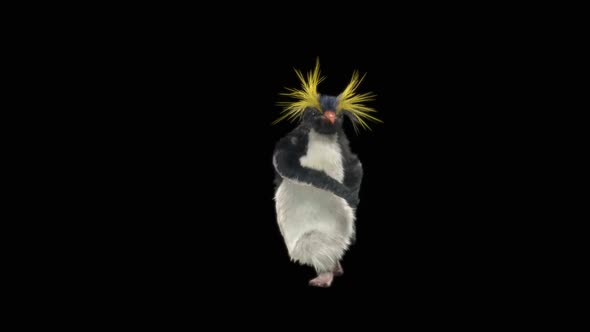 Penguin Dancing HD