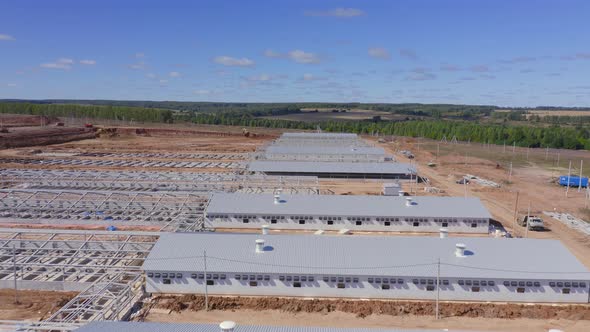 From a Birds Eye View on the Pig Farm the Production Facilities of the Livestock Breeding Complex