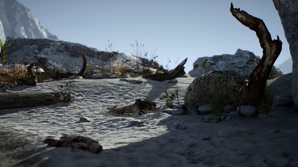 White Sand Beach Near Rocky Cliffs at Ocean