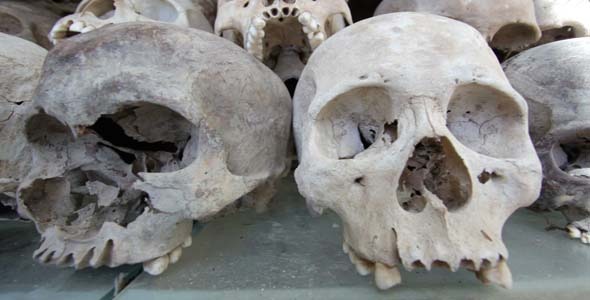 Skulls And Bones In Killing Field, Cambodia