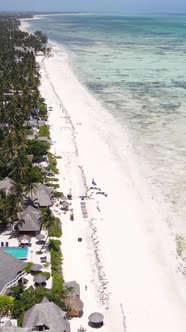 Tanzania  Vertical Video of Low Tide in the Ocean Near the Coast of Zanzibar Slow Motion