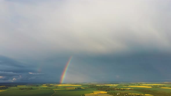 The Rainbow Over Agriculture Landscape Many Fields of Yellow Rapeseed Aerial View 4K