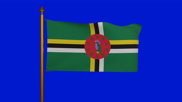 National flag of Dominica waving with flagpole on chroma key, Commonwealth of Dominica flag textile