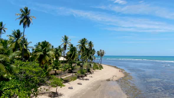 Aerial View of Tropical White Sand Beach, Palm Trees and Turquoise Clear Sea Water in Praia Do Forte