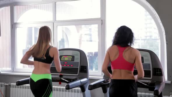 Two Young Athletic Women Running on a Treadmill at Gym. Fitness and Healthy Lifestyle Concept.