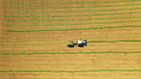 Aerial view of a tractor in the field. Agricultural machinery pressing green grass for cows
