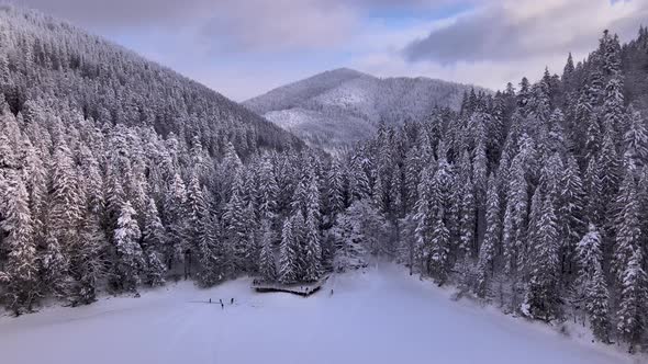 Aerial View of a Frozen Forest with Snow Covered Lake at Winter in Carpathian Mountains