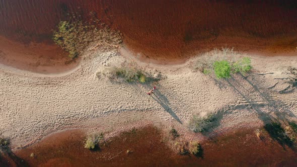 AERIAL PLAN VIEW, of a mother and child walking along a sunny strip of sand