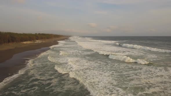 Sandy Beach Near the Ocean