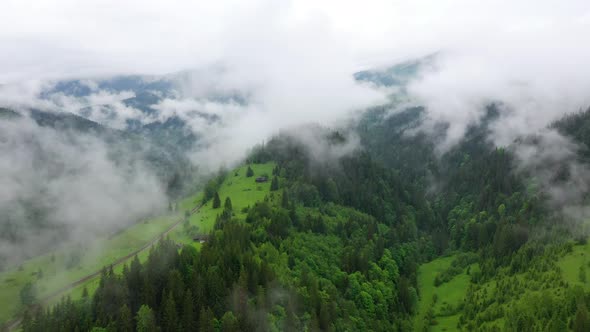 Nature. Fog over the forest in the mountain valley. View from the air. Summer landscape