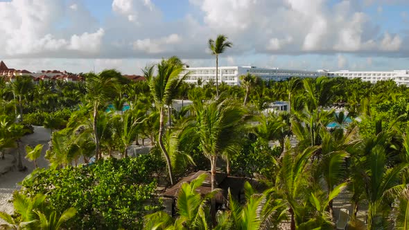 Aerial View of Luxury Swimming Pool Palm Trees