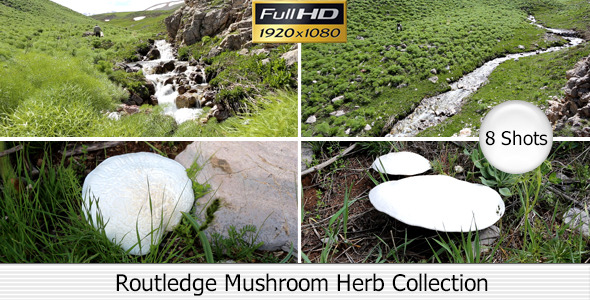 Routledge Mushroom Herb Collection