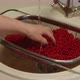 Female Hands Wash Juicy Ripe Red Currants From Dirt Through a Sieve in the Sink in the Kitchen - VideoHive Item for Sale