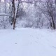 Snowy Winter Forest. Flying Over the Ski Trail in The Middle of The Forest - VideoHive Item for Sale