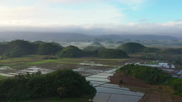 Aerial View of Rice Plantation,terrace, Agricultural Land of Farmers. Tropical Landscape with