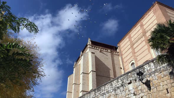 Pigeons and a sunny day