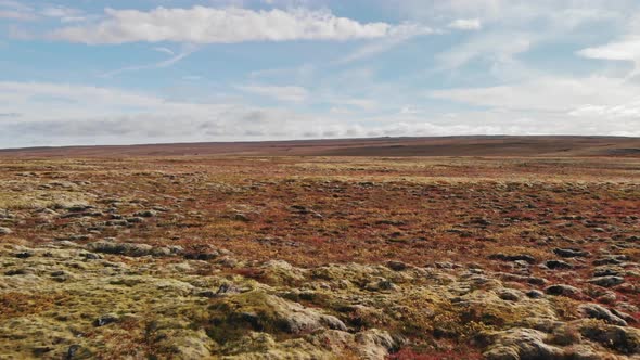 Beautiful Volcanic Landscape in Autumn Close To Thingvellir Nation Park Iceland