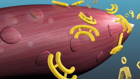 Pancreatic -Cell Electrical Activity and Insulin Secretion