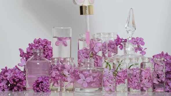 Oil essence with lilac flowers. Production of perfumes in laboratory