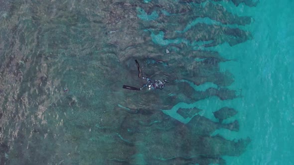 Underwater Fishing Aerial View
