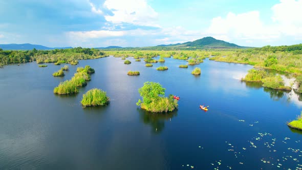 wetlands with various trees represent the integrity of the forest.