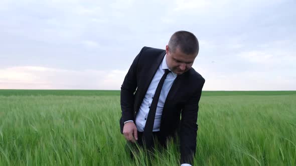 Young Handsome Agricultural Engineer Inspects Plants in a Rye Field