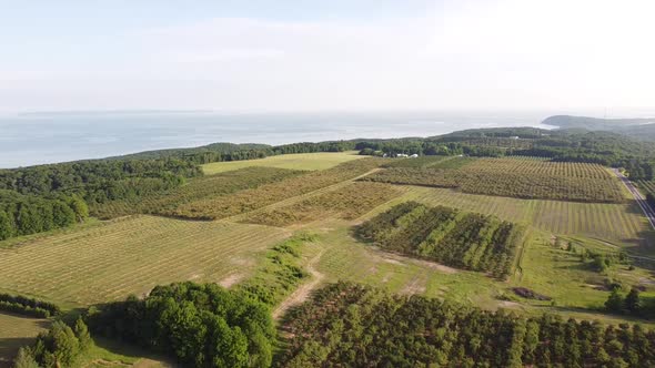 Scenic Aerial View Of Lush Green Cherry Orchard And Sleeping Bear Dunes National Lakeshore In Leelan