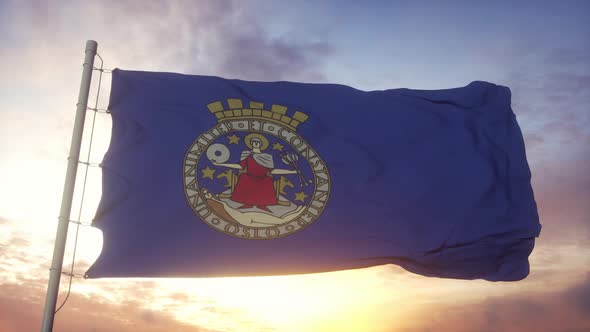 Flag of Oslo Norway Waving in the Wind Sky and Sun Background