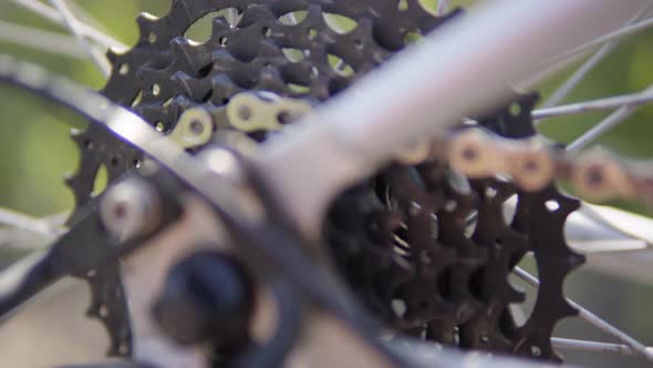 A Rear Cassette on the Rear Wheel of a Bicycle  Closeup