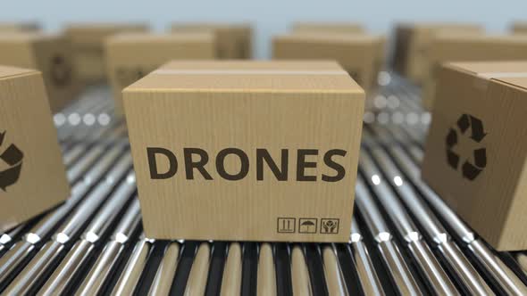 Cartons with Drones on Roller Conveyors