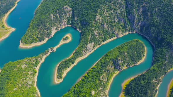 Aerial view blue bendy river flowing through the forest with green grass forest with tall pine trees