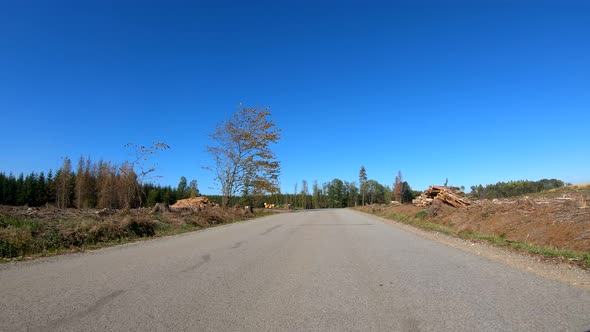 Autumn car drive in rural landscape devastated by bark beetle