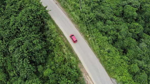 Cinematic overhead aerial view of a moving car on a road trip in between trees