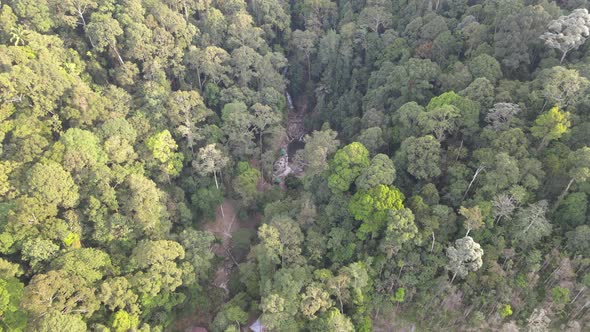 Aerial view of Forest Reserve in Jelebu