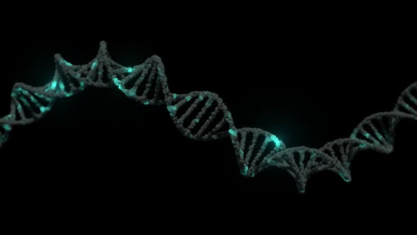 DNA Strand Double Helix Looped Animation