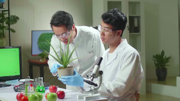 Researchers Analyzing Botany Expertise On Green Screen Computer Display Discovering Genetic Mutation