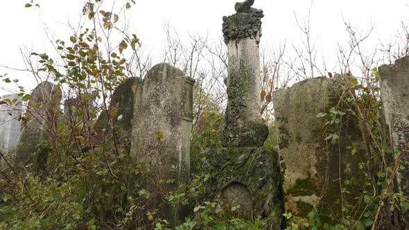 Old tombstones in a cemetery