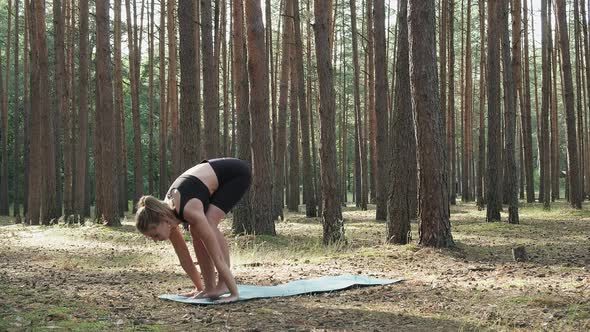 Flexible Fit Woman Practices Yoga Performs Surya Namaskar at Sunny Pine Forest