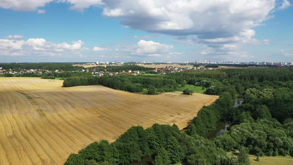 Slow Flight Over a Field and Forest with a View of the City of Minsk