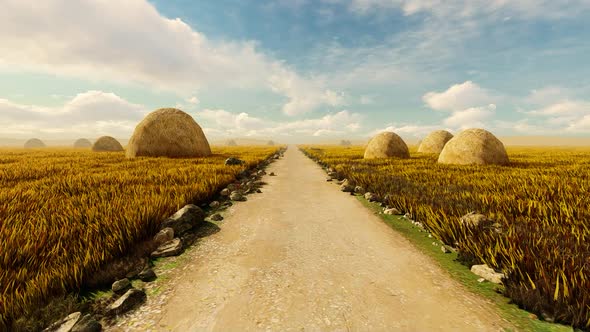 Field With Haystacks