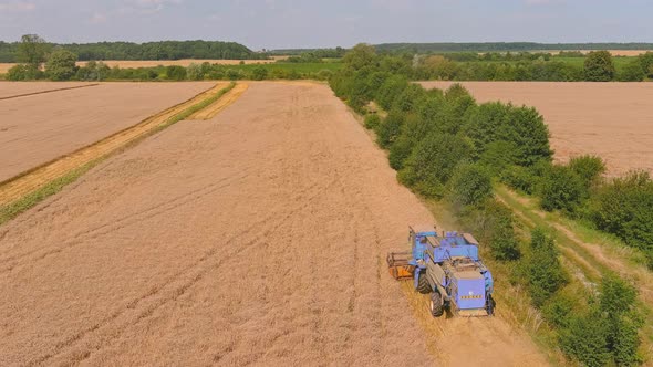 Combine Harvester Agricultural Machine for Harvesting Golden Ripe Wheat