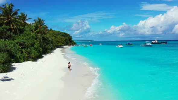 Lady enjoys life on paradise lagoon beach wildlife by transparent ocean with white sand background o