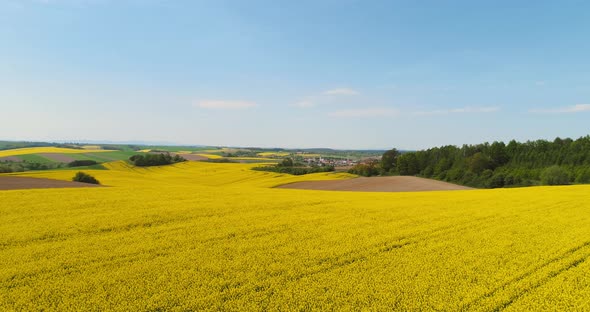 Aerial View of Various Agriculture Fields Blooming