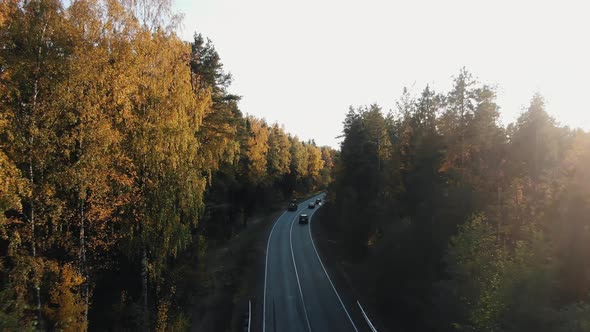 Automobiles Drive Along Road Running Through Autumn Forest