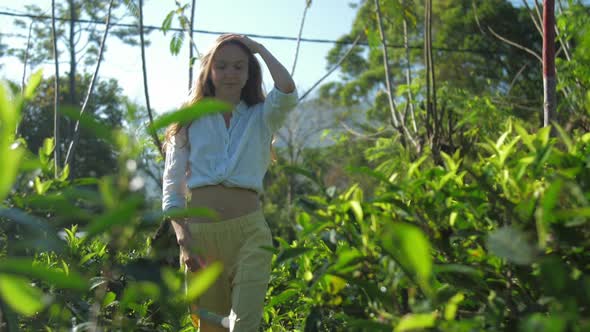 Attractive Girl Walks Among Green Tea Plantation Slow Motion
