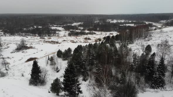 4 The Edge Of The Taiga Forest Under The Snow